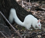 2016 06 11 WildLife MPLS 115